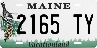 ME license plate 2165TY