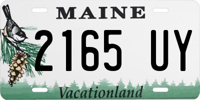 ME license plate 2165UY