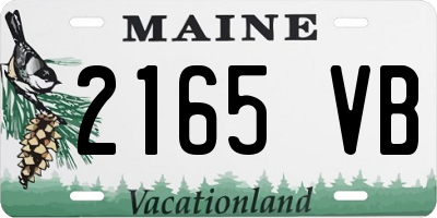 ME license plate 2165VB