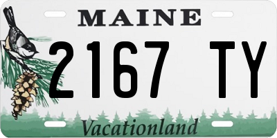 ME license plate 2167TY