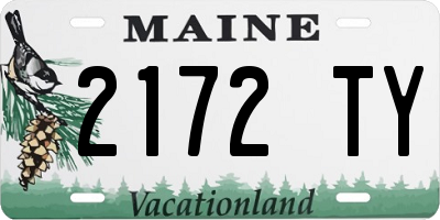 ME license plate 2172TY