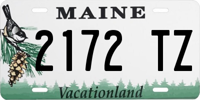 ME license plate 2172TZ