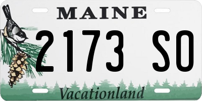 ME license plate 2173SO