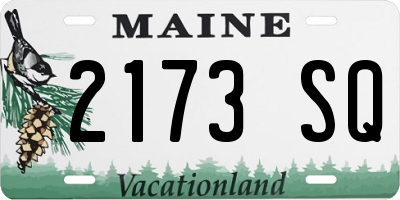 ME license plate 2173SQ