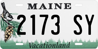 ME license plate 2173SY