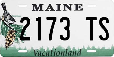 ME license plate 2173TS
