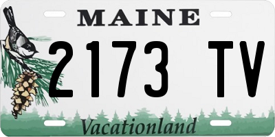 ME license plate 2173TV