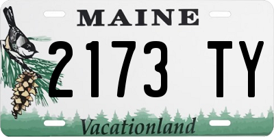 ME license plate 2173TY