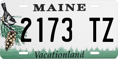 ME license plate 2173TZ
