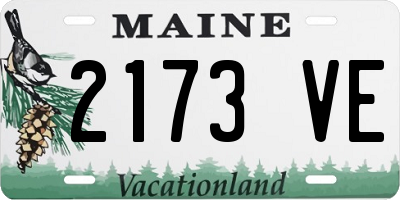 ME license plate 2173VE