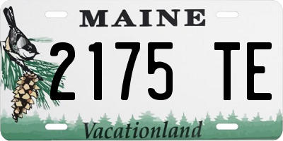 ME license plate 2175TE