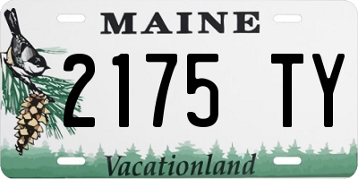 ME license plate 2175TY