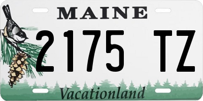 ME license plate 2175TZ