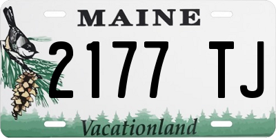 ME license plate 2177TJ