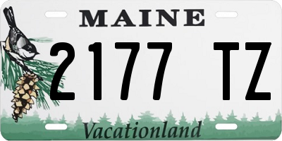 ME license plate 2177TZ