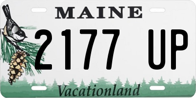 ME license plate 2177UP