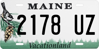 ME license plate 2178UZ