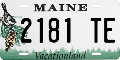 ME license plate 2181TE
