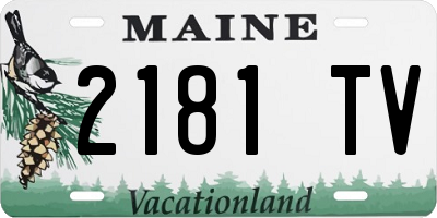 ME license plate 2181TV