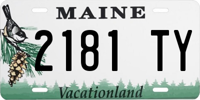 ME license plate 2181TY