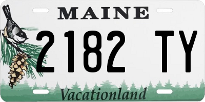 ME license plate 2182TY