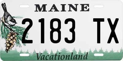 ME license plate 2183TX