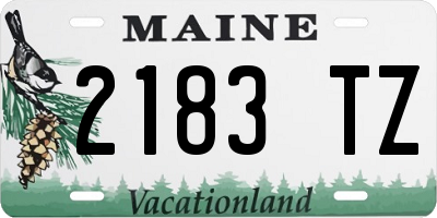ME license plate 2183TZ