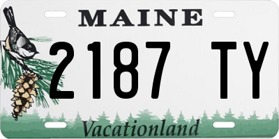 ME license plate 2187TY