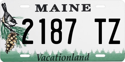 ME license plate 2187TZ