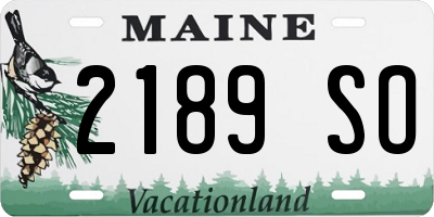 ME license plate 2189SO