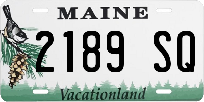 ME license plate 2189SQ