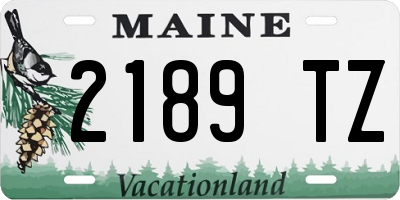 ME license plate 2189TZ