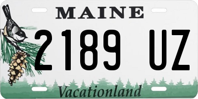 ME license plate 2189UZ