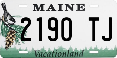 ME license plate 2190TJ