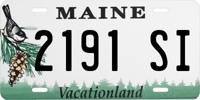 ME license plate 2191SI