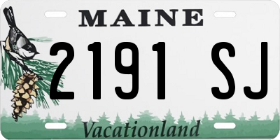 ME license plate 2191SJ