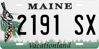 ME license plate 2191SX