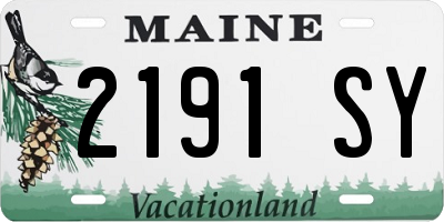 ME license plate 2191SY