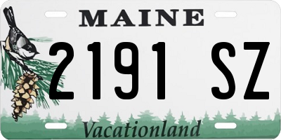 ME license plate 2191SZ