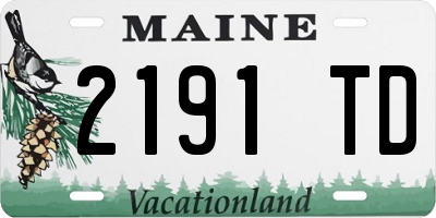 ME license plate 2191TD