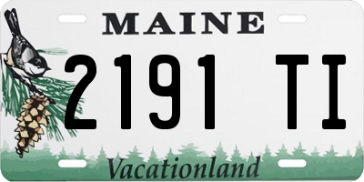 ME license plate 2191TI