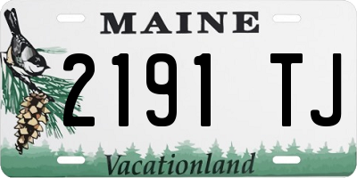ME license plate 2191TJ