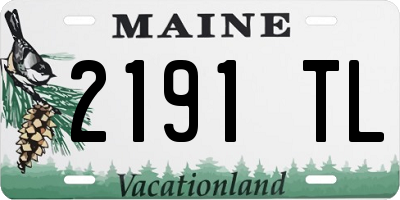 ME license plate 2191TL