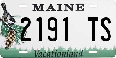 ME license plate 2191TS