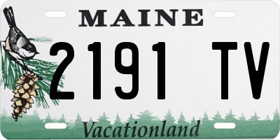 ME license plate 2191TV