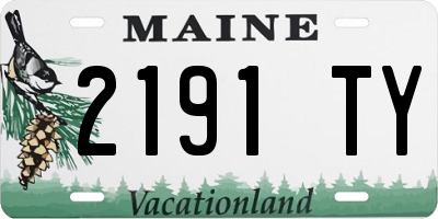 ME license plate 2191TY