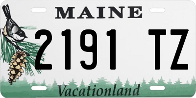 ME license plate 2191TZ