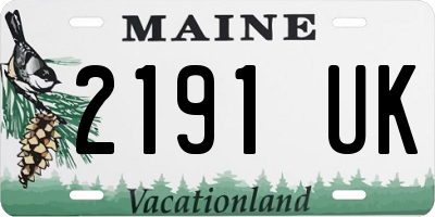 ME license plate 2191UK