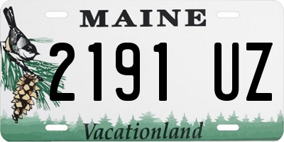 ME license plate 2191UZ