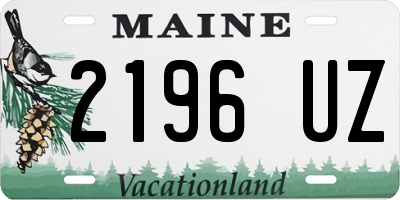 ME license plate 2196UZ
